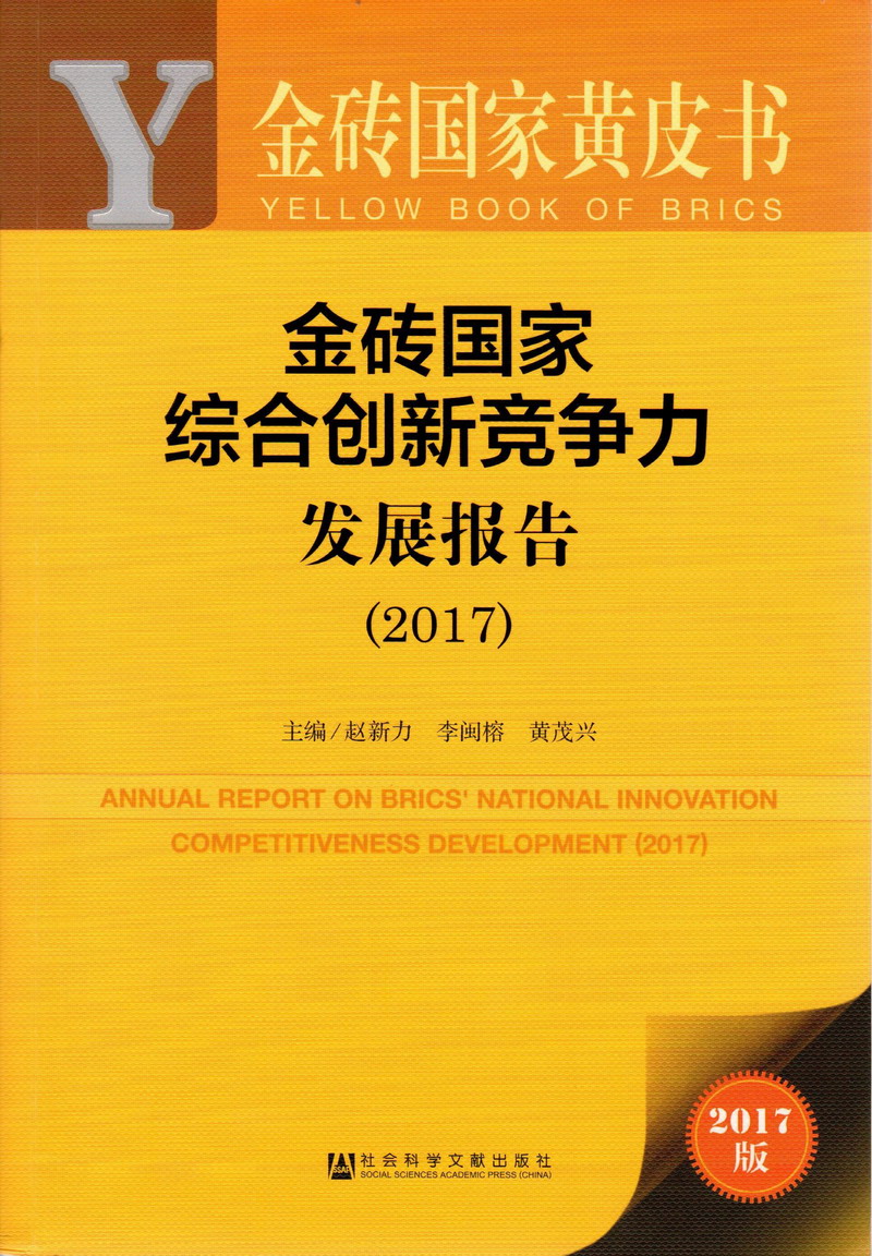 好爽操逼逼逼操金砖国家综合创新竞争力发展报告（2017）